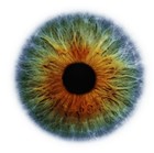 Picture for song 'clarity' by artist 'February 31'