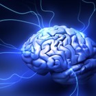 Picture for song 'Brain Damage' by artist 'Ferocious Milton'
