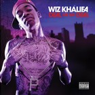 Picture for song 'Wizzzy Khalifa beat' by artist 'Fetto Da Don Productions'