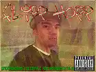 Picture for song 'tropical lady beat' by artist 'flipp hopp'