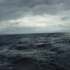 Picture for song 'Excursions' by artist 'Fragile Forest'