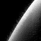 Picture for song 'Goose bumps (SOLD)' by artist 'FrozenjaZz'