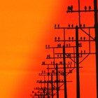 Picture for song 'Lyrics or Just Words' by artist 'Fundamental3rdEyeup'