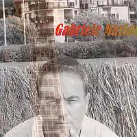 Picture for song 'VOLA' by artist 'GABRIELE MARIANI'