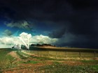 Picture for song 'Rolling In The West' by artist 'Ganjastic 4'