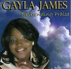 Picture for song 'I Just Want To Praise You' by artist 'Gayla James'