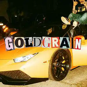 Picture for song 'RUBIN - Trap Rap Beat - 138bpm Dmin' by artist 'Goldgrain'