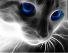 Picture for song 'Baby please come out of the dark' by artist 'grantboyrecords2013'