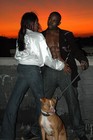 Picture for song 'Summer Love Feat P. Diddy' by artist 'Guaranteed Hitz'