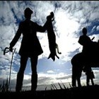 Picture for song 'ZORRO' by artist 'guiyer'