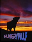 Picture for song 'Painted Sunset' by artist 'HungryWulf'