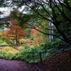 Picture for song 'Autumn Leaves' by artist 'Ian McMillan'
