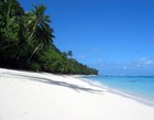Picture for song 'Island Dreams' by artist 'Cruncin'