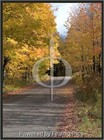 Picture for song 'Walkin' Down My Country Road' by artist 'Jack 'O Scratch'