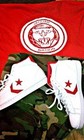 Picture for song '"Da PreQuel"' by artist 'JAGuar Nation Music Group'