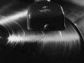 Picture for song 'Jay With The Band (Fav Choice)' by artist 'JayrellProductions'