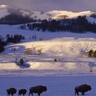 Picture for song 'Creators Plan' by artist 'Jayskye'