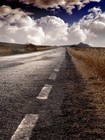 Picture for song 'THE WAY WE' by artist 'JIGGYBOI'