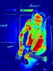 Picture for song 'Lizard - Too Close to the Sun' by artist 'Jimmy the Lizard'