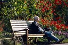 Picture for song 'Park Bench' by artist 'Jim Pfeifer'
