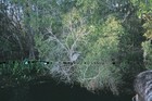 Picture for song 'Buffalo Palace' by artist 'Judson Rogers'