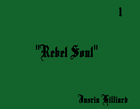 Picture for song 'Rebel Soul' by artist 'Hillist'