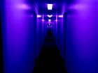 Picture for song 'IDFKWTF' by artist 'KARMANISTIC'