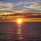 Picture for song 'Photosynthesis (Instru) 480628' by artist 'K-Bach Beats'