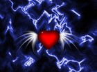 Picture for song 'Acoustic Soul, Electric Heart' by artist 'Klaatu (CT)'