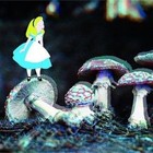 Picture for song 'Mayday Faze 60bpm' by artist 'K.O. Beats Productions'