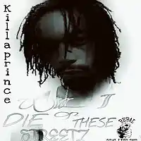 Picture for song '09 Sumtimes I Wonder - Kp Killaprince' by artist 'K.p KillaPrince And (LSC) Rebelz'