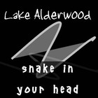 Picture for song 'Snake In Your Head' by artist 'Lake Alderwood'