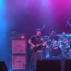 Picture for song 'The Elephant In The Room' by artist 'Lauttamus'