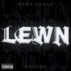Picture for song 'LOW LIFE' by artist 'LEWN'