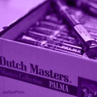 Picture for song '(NEW) Dutch Masters' by artist 'LEXI BANKS'