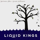 Picture for song 'Hate's Hate' by artist 'Liquid Kings'