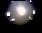 Picture for song 'Sacrilegious' by artist 'L.I.T.L.H.I.'