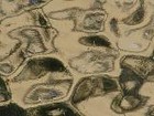 Picture for song 'Reflections on Water' by artist 'LondonPenda'