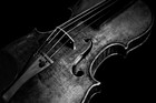 Picture for song 'Viola' by artist 'LooneyManSlayedIt'