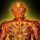 Picture for song 'Rocket Song' by artist 'Lotus Ascension'