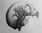Picture for song 'April 4 LR210 FreeDownload' by artist 'L R 2 1 O'