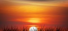 Picture for song 'Sun Rising' by artist 'LVOS'
