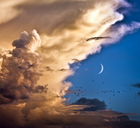 Picture for song 'Cloud 9' by artist 'Lyftd Productions'