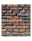Picture for song 'BRICK' by artist 'M3 Group'