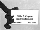 Picture for song 'Wile E. Coyote - www.maestrobeatshop.com' by artist 'MAESTRO THE BEAT MAKER'