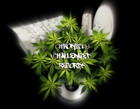 Picture for song 'kush 95bpm - produced by lil drastic' by artist 'MALT D BEAT PRODUCTION'