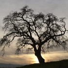 Picture for song 'Ten Long Years (w/Amanda's Dirty Secret)' by artist 'Manda Clair'