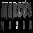 Picture for song 'big boss' by artist 'Marcusmusik'