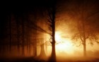 Picture for song 'Morning Came Too Soon' by artist 'Mark Wessels'