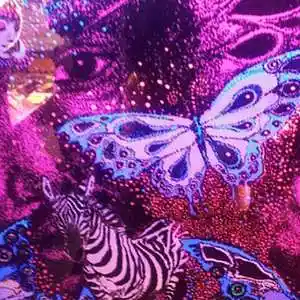 Picture for song '1. Jan 2021 - Little Wing' by artist 'Martin Dunn'